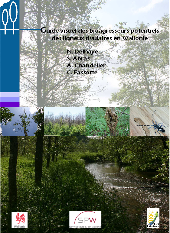 Guide visuel des bioagresseurs potentiels des ligneux rivulaires en Wallonie
