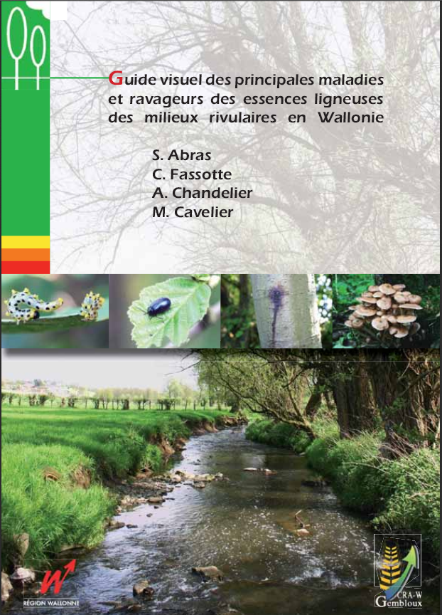 Guide visuel des principales maladies et ravageurs des essences ligneuses des milieux rivulaires en Wallonie