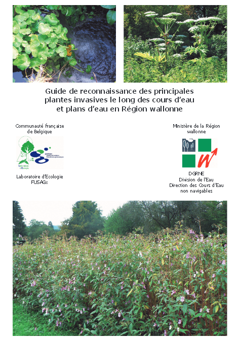 Guide de reconnaissance des principales plantes invasives le long des cours d’eau et plans d’eau en Région wallonne