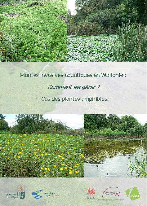 Plantes invasives aquatiques en Wallonie : Comment les gérer ?