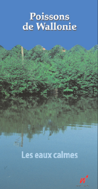 Poissons de Wallonie : Les eaux calmes